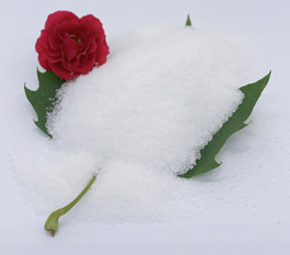 أي نوع من البولي أكريلاميد أكثر فعالية لمعالجة مياه الصرف الصحي لغسيل السيارات؟