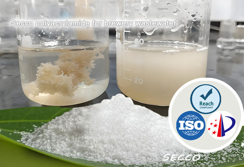 اختيار وفعالية البولي أكريلاميد (PAM) في معالجة مياه الصرف الصحي في مصانع البيرة